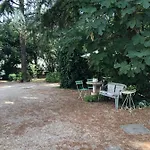 Viola Apartment