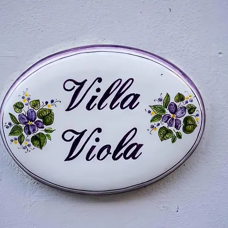 Viola * Forlì