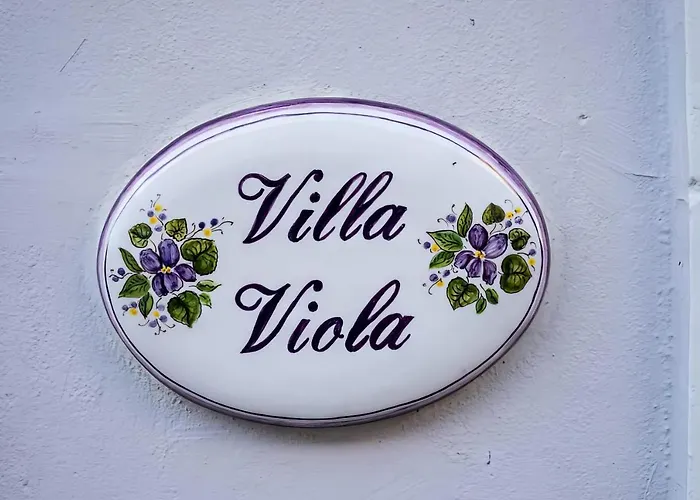 Viola * Forlì