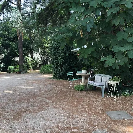 Viola Apartment