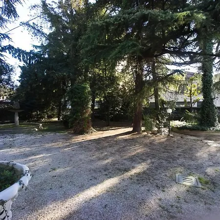 Viola Forlì